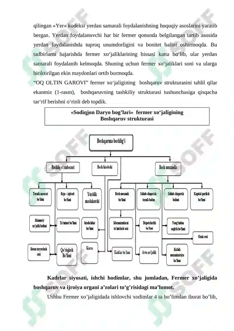 Fermer xo'jaligini rivojlantirish bo'ycha amaliyot hisoboti 6