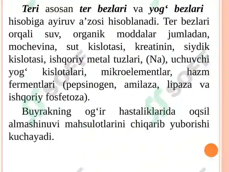 Ayirish Sistemasi Fiziologiyasi 6