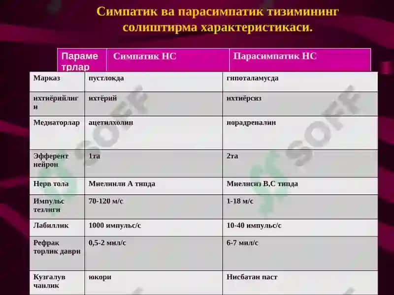 Вегетатив нерв тизими. Симпатик ва парасимпатик нервлар 6