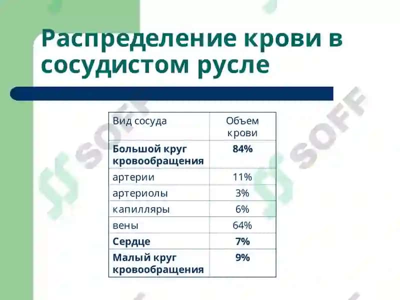 Патофизиология 6