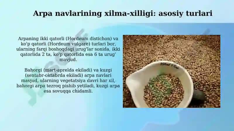 Don ekinlarining turlari va navlari 6