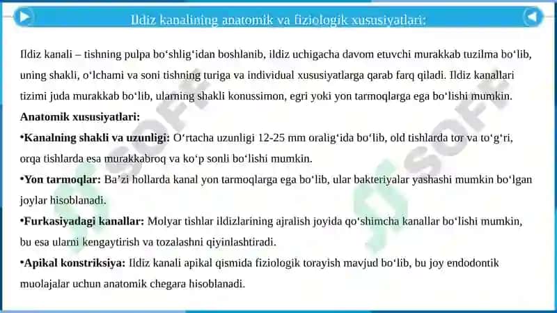 Ildiz kanalini koronal-apikal kengaytirish 6