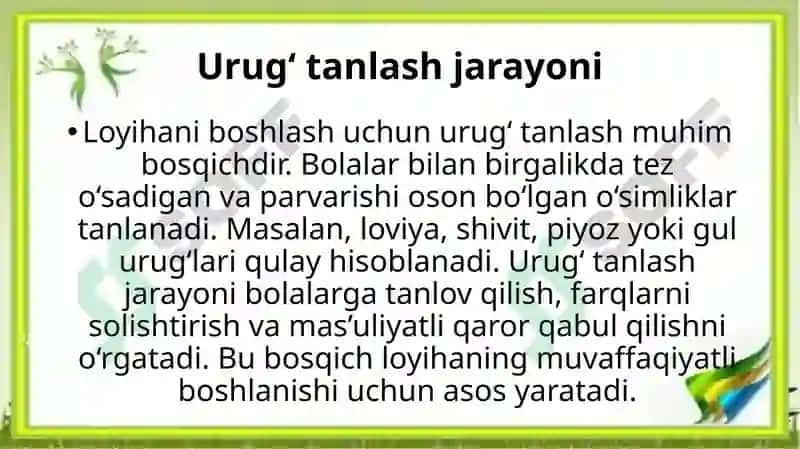 Mening kichik bo‘g‘im O‘simliklarni ekish, parvarishlash va kuzatish loyihasi 6