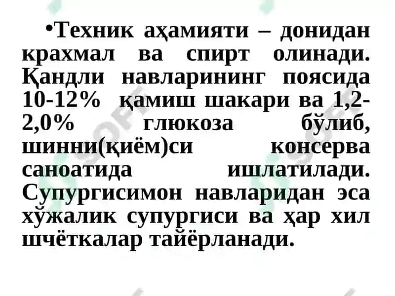 ЖЎхори биологияси ва етиштириш технологияси 6