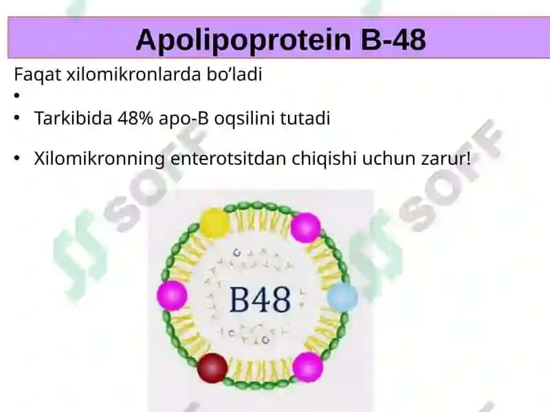 LIPIDLARNING METABOLIZMI 6