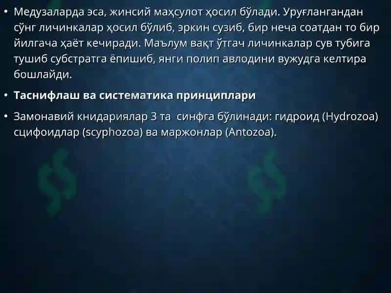 ҳақиқий кўп хўжайралилар 6