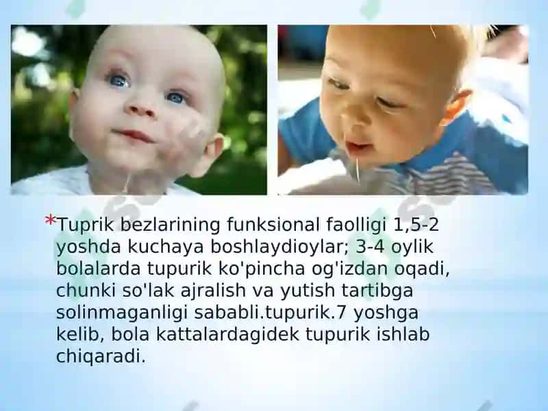 Bolalarda ovqat hazm qilish tizimining anatomik va fiziologik xususiyatlari 6