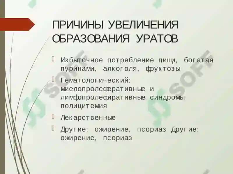 ПОДАГРА 6