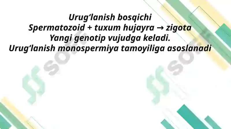 Proembrional va embrional rivojlanishning umumiy qonuniyatlari(Progenez) 6
