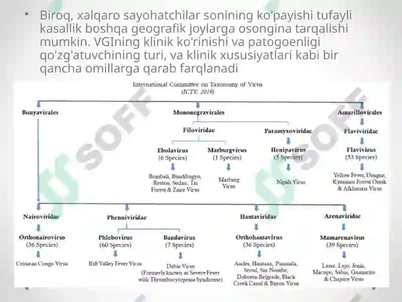 Gemorragik isitma qo`zg`atuvchilari, patoenezi, laboratoriya tashhisi. 6