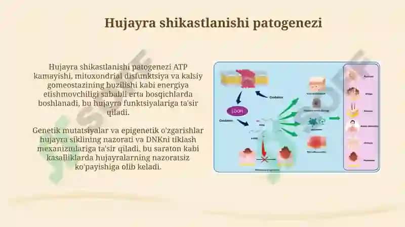 Lipid peroksidlanishi va hujayra shikastlanishi patogenizadagi ahamiyati 6