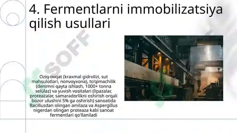 Fermentlar va ulardan ishlab chiqarishda foydalanish 6