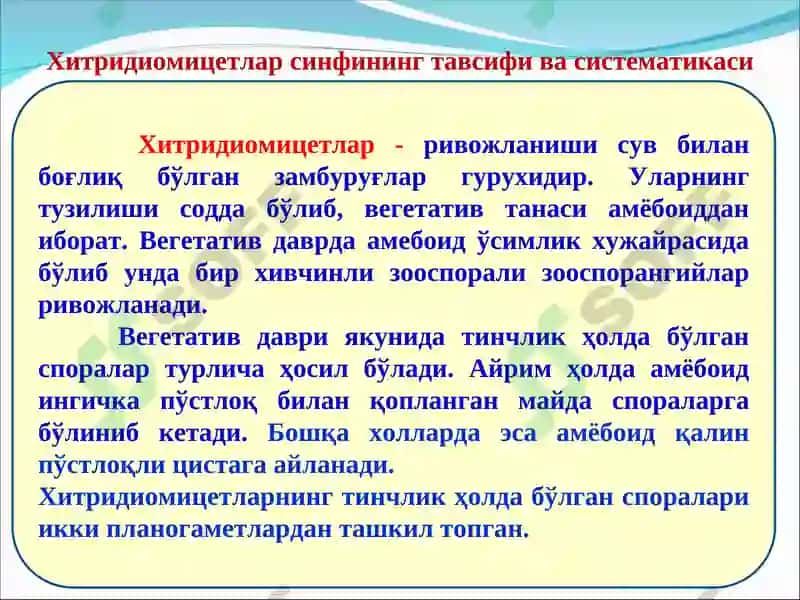 Замбуруғларнинг систематикаси. Хитридиомицетлар синфининг тавсифи 7