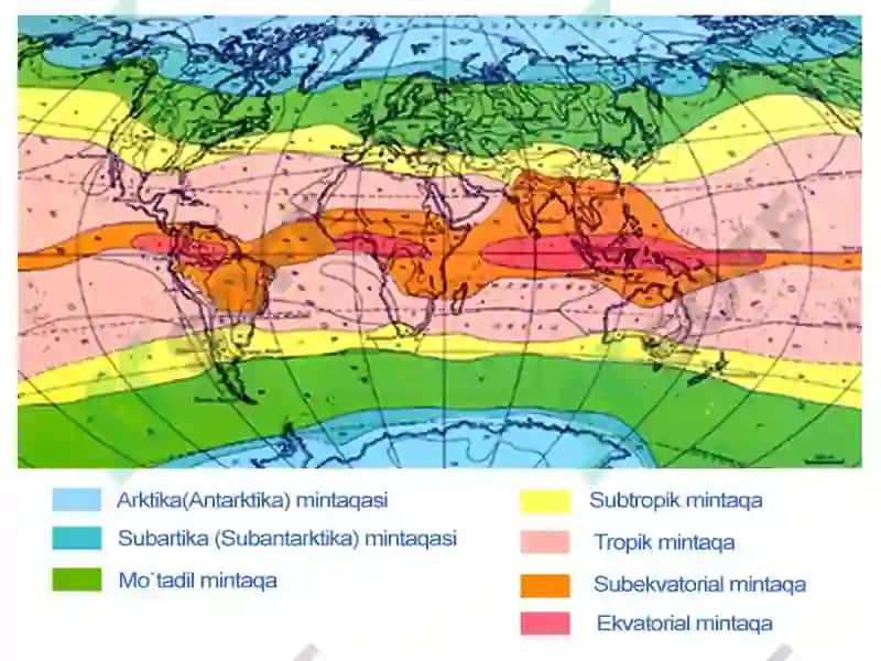 Geografik mintaqalar va tabiat zonalari 7