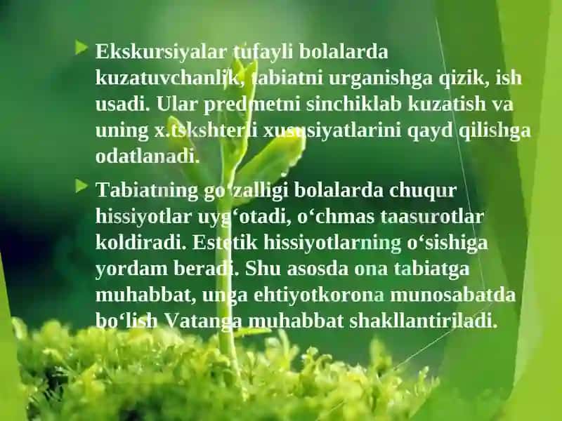 Tayyorlov Guruh Bolalarini Tabiatda Mehnatlari Tashkil Etish 7
