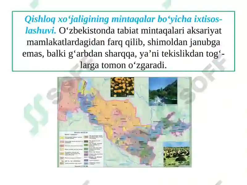O‘ZBЕKISTОNDАQISHLОQХO‘JАLIGINING GЕОGRАFIK TIPLАRI 7