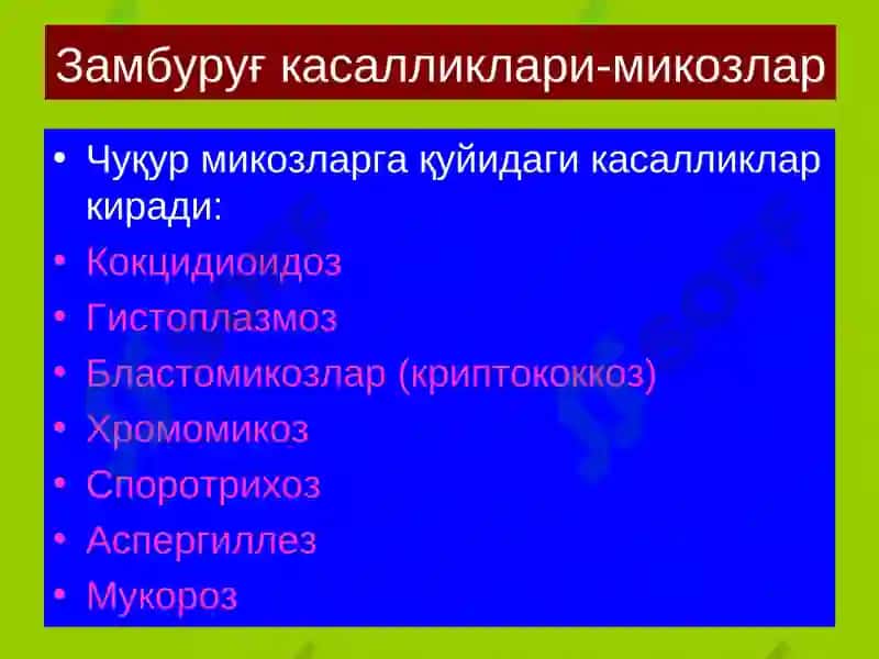 Терининг замбуруғка салликлари-микозлар 7