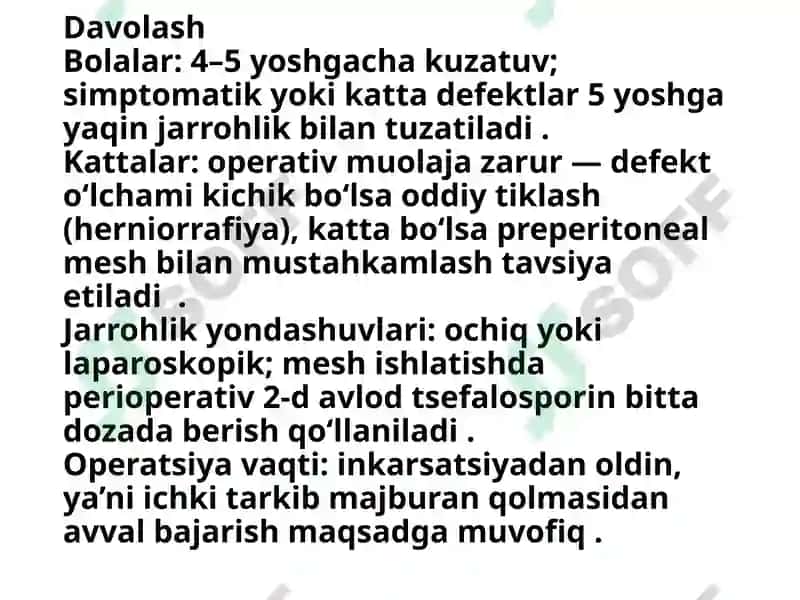 Kindik churrasi 7