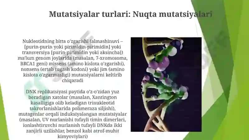 Mutatsiya va DNK reparatsiyasining molekulyar mexanizmlari 7