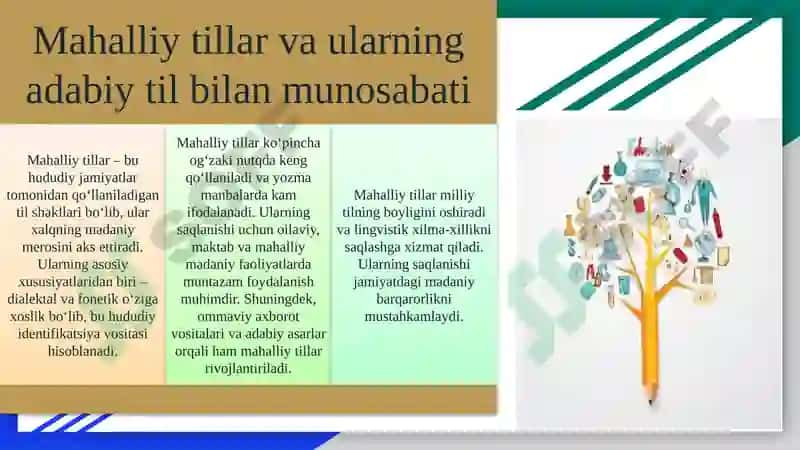 Adabiy til va mahalliy tillar. Sunʼiy tillar 7