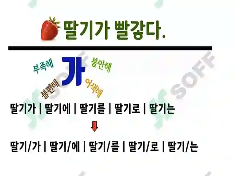 김이영 7