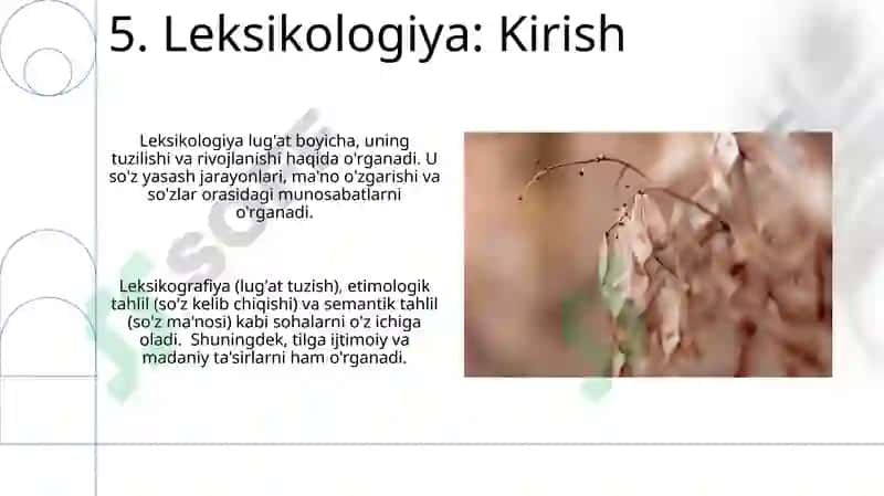 Лексикология және оның салалары 7