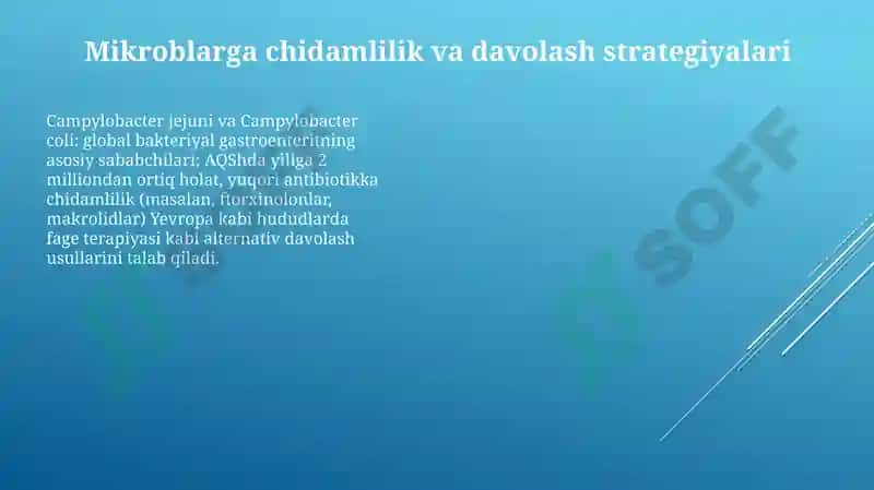 Kampilobakteriyalar, xelikobakteriyalar va ularning amaliyotdagi ahamiyati 7