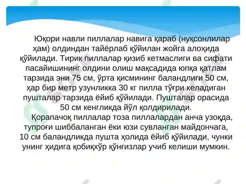 Тирик пиллаларни қабул қилиш 7