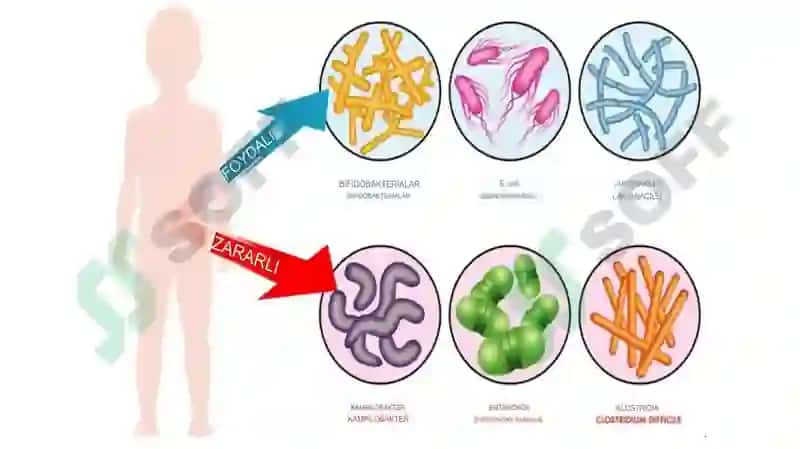 Disbakterioz, disbioz, kelib chiqishida qatnashuvchi omillar. Disbakterioz, disbiozlarga bakteriolog 7