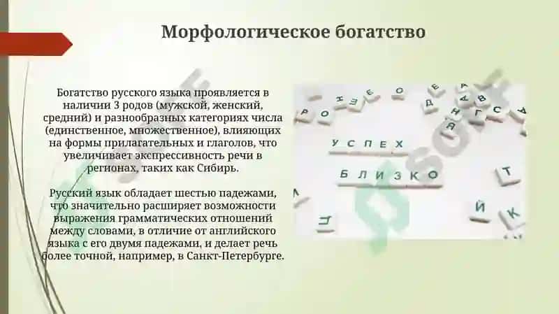 Лексическое богатство русского языка 7