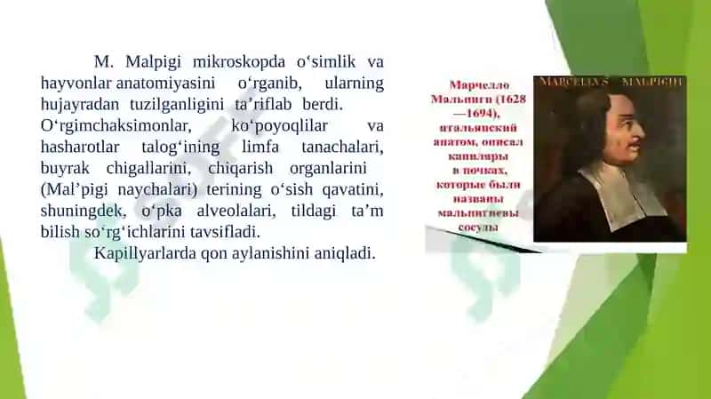 Hujayra organoidlari va ularda boradigan jarayonlar 7