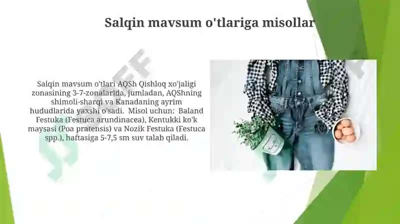 Sredniy rod. Otlarning 3 turlanishi 7