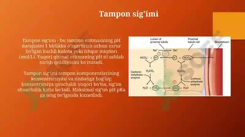 Buffer sistemalar 7