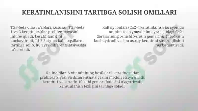 Keratinizatsiya jarayonlari haqida zamonaviy tasavvurlar 7