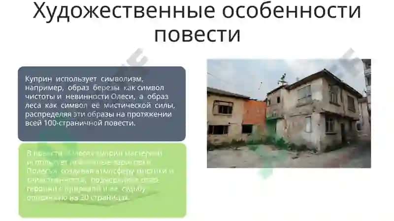 Олеся 7