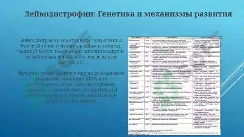 Нарушения обмена фосфолипидов 7