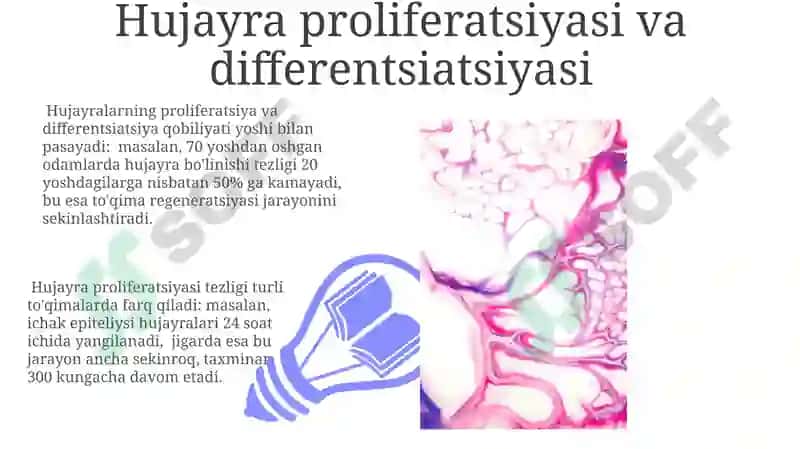 To'qimalarning fiziologik va reparativ regeneratsiyasi 7