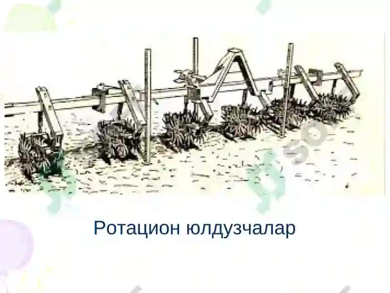 Ғўзани ягона қилиш ва кўчат қалинлиги 7