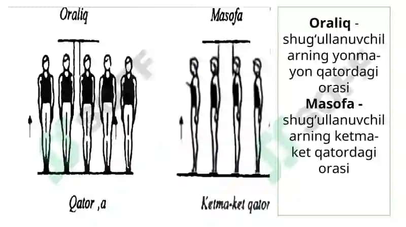 Gimnastikada umumiy va maxsus tayyorgarlik mashqlari 7