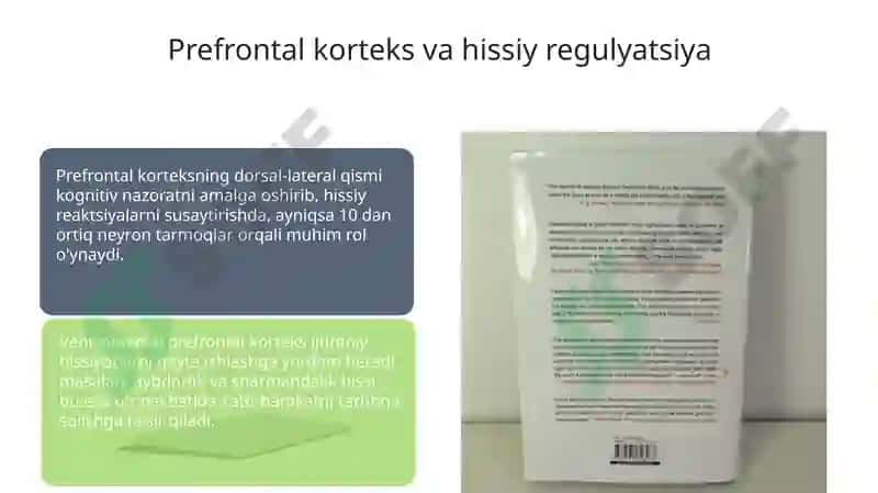 Hissiyot va Emotsional Holatlarning Fiziologik Asoslari 7