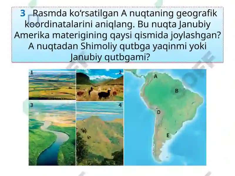 Rasmning uzatish va quyi taklif etilgan savollar 7