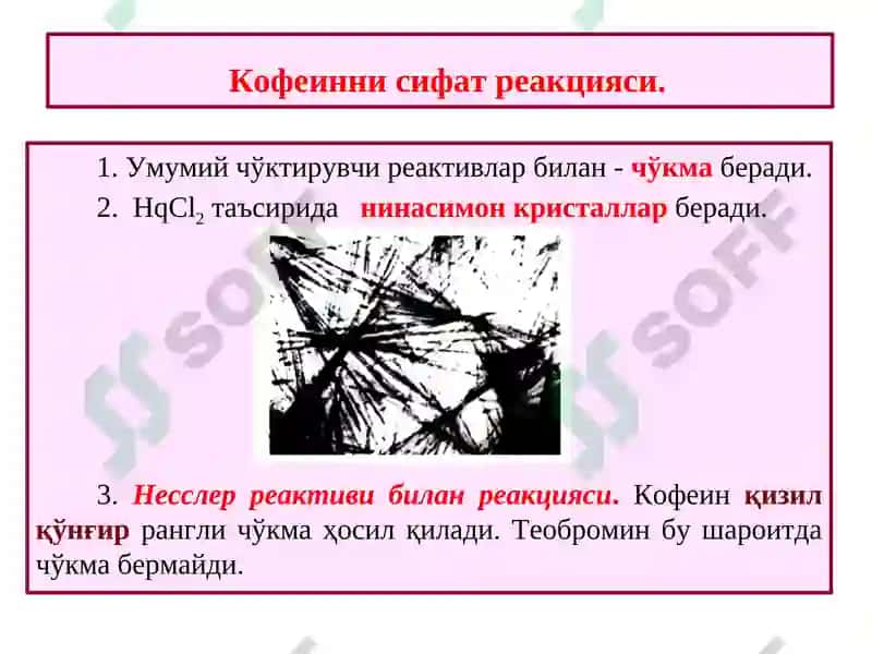 Ксантин ҳосиласини сақловчи алкалоидлар 7