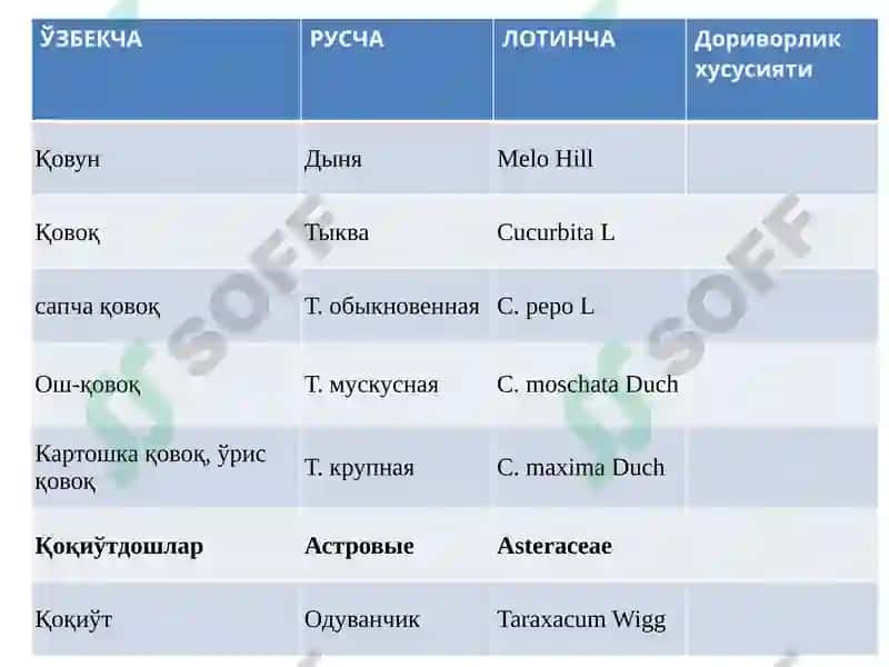Сабзавот ва полиз доривор ўсимликларнинг рўйхати 7