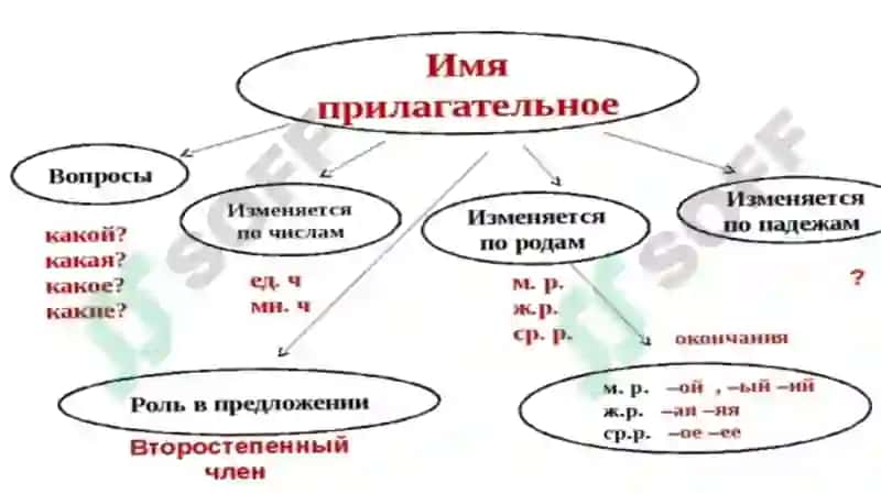 Презентация на тему ИМЯ ПРИЛАГАТЕЛЬНОЕ 7