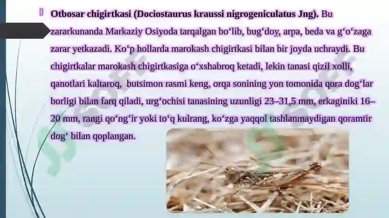Cho’l ekotizmlari umurtqasiz hayvonot olami asosiy vakillarining ichki va tashqi tuzilishi, tuzilish 7