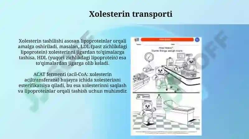 Fosfolipid va steroid metabolizmi 7