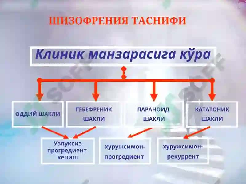 Шизофрения 7