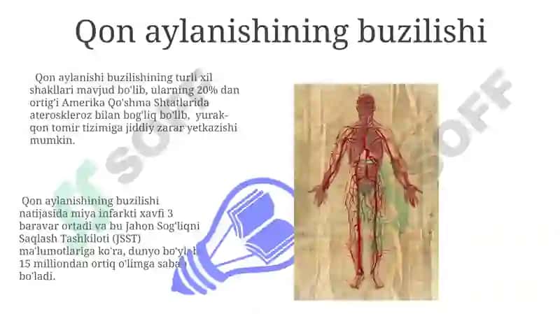 Umurtqali hayvonlarning qon aylanish sistemasi 7