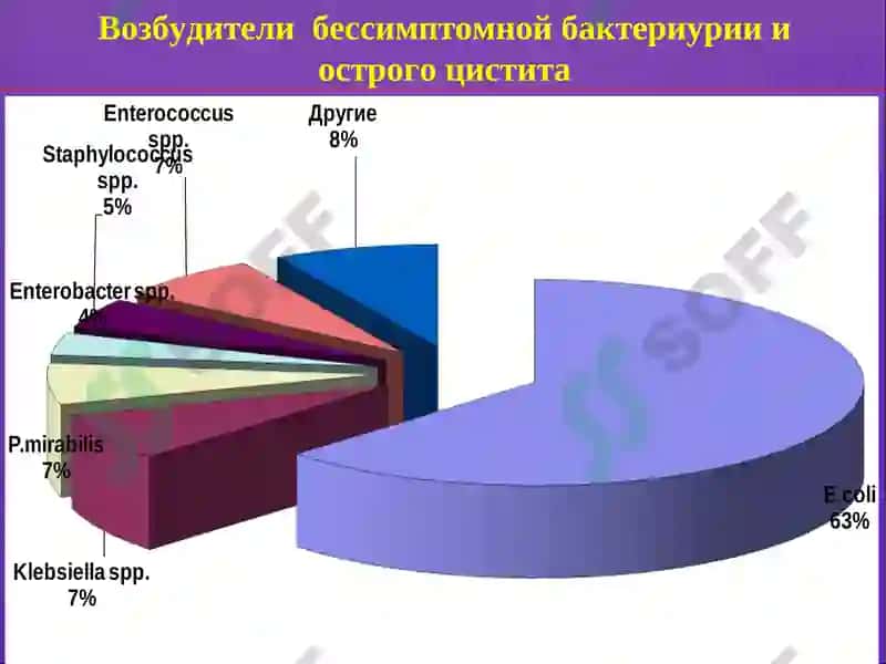 Бессимптомная бактериурия 7