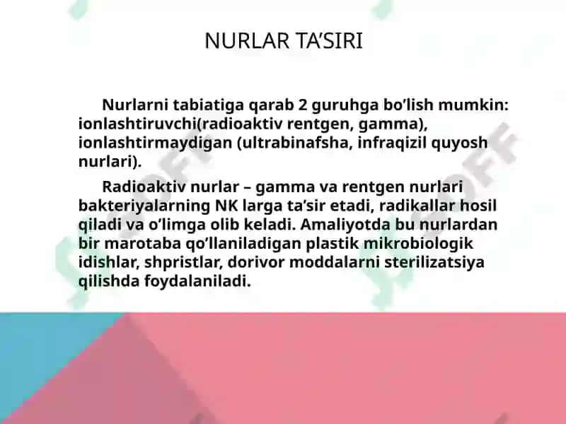 Mikroorganizmlarining ta’siri 7